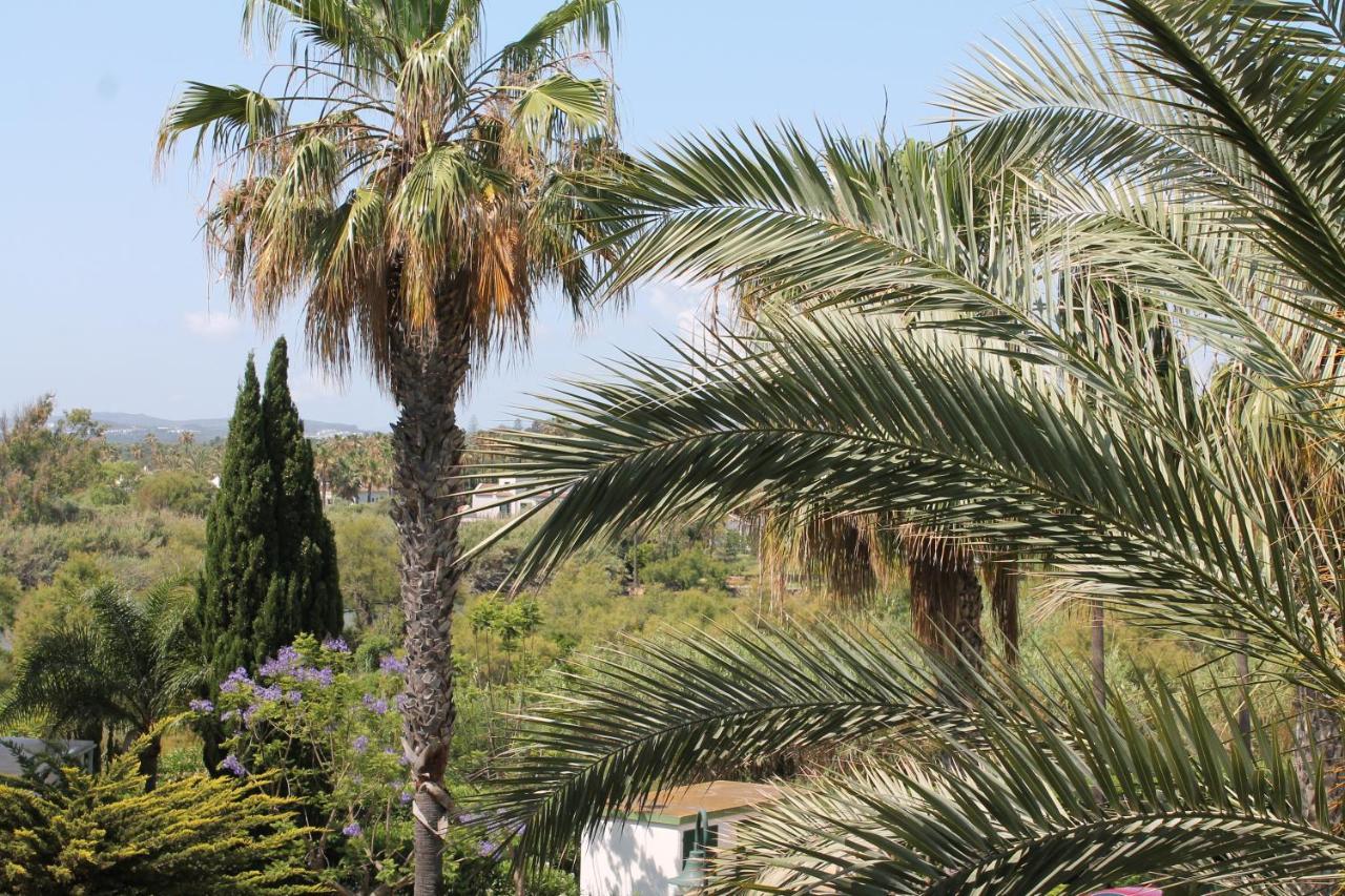 New View Sotogrande Marina - Jungla Del Loro Lejlighed Eksteriør billede
